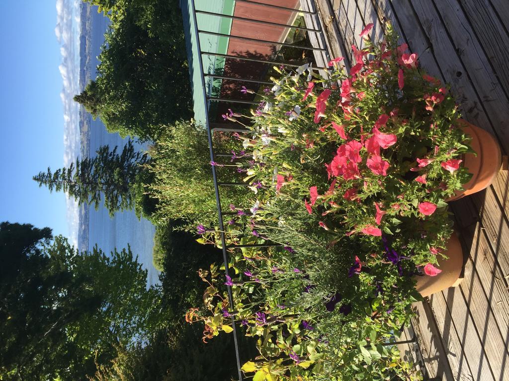 Lakeview Holiday Home Rotorua Exterior photo