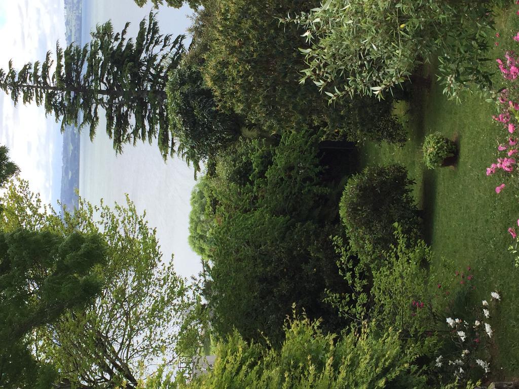Lakeview Holiday Home Rotorua Exterior photo
